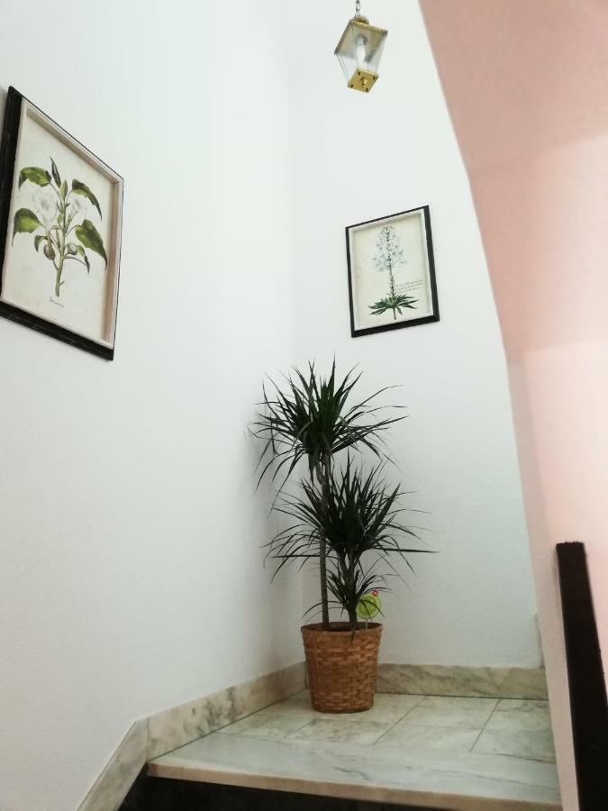 Arronches Villa Bagian luar foto